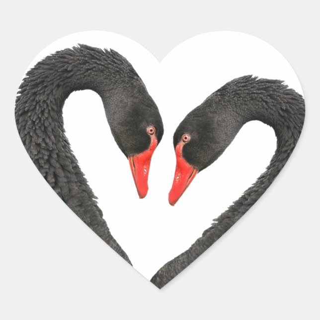 Black swans heart sticker (Front)