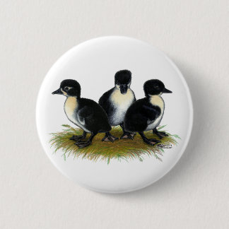 Black Swedish Ducklings 6 Cm Round Badge