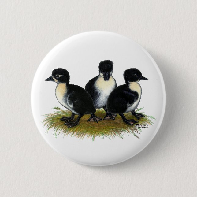 Black Swedish Ducklings 6 Cm Round Badge (Front)