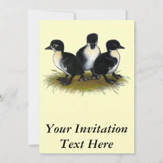 Black Swedish Ducklings Invitation