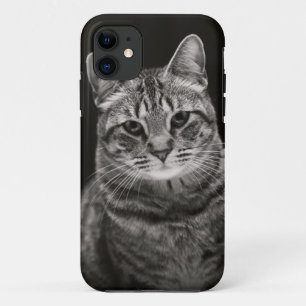 Black Tabby Kitten Case-Mate iPhone Case