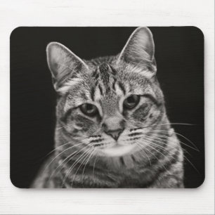 Black Tabby Kitten Mouse Pad
