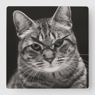 Black Tabby Kitten Square Wall Clock