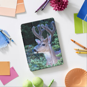 Black-tail Deer   Olympic National Park iPad Air Cover