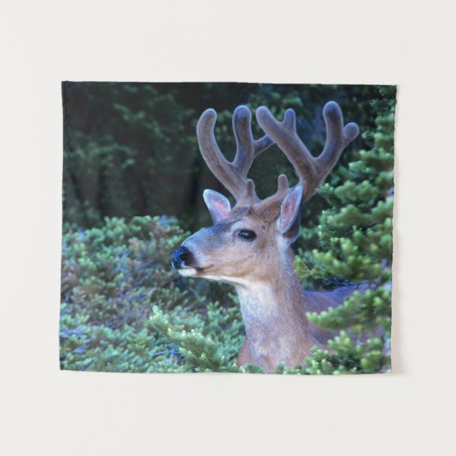 Black-tail Deer | Olympic National Park Tapestry (Front (Horizontal))