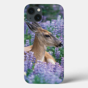 Black-tailed deer, doe resting in siky lupine, iPhone 13 case