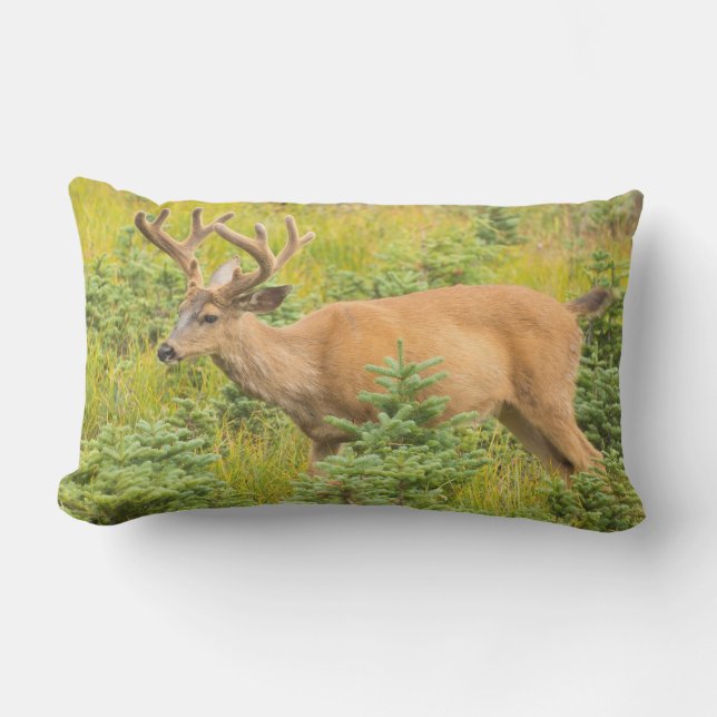 Black-tailed deer lumbar cushion (Front)