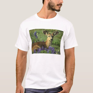 Black-tailed Deer, Odocoileus hemionus T-Shirt