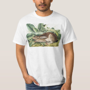 Black-tailed Hare Rabbit (Lepus negricaudatus) T-Shirt