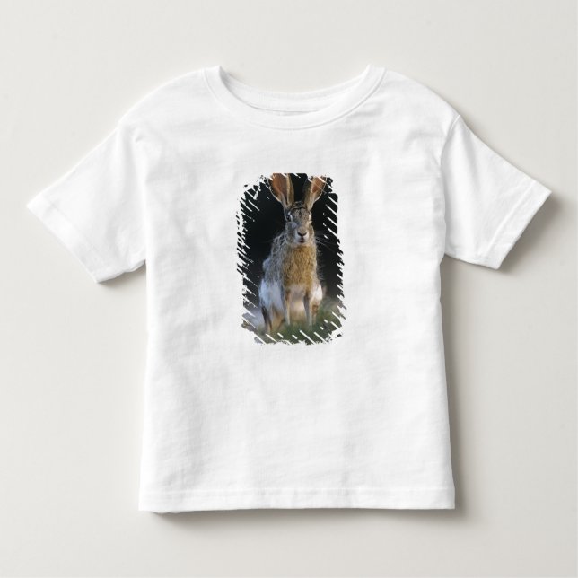 Black-tailed Jackrabbit, Lepus californicus, 2 Toddler T-Shirt (Front)
