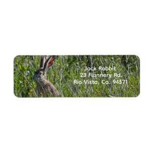 Black-Tailed Jackrabbit Return Address Label