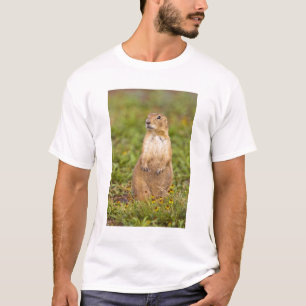 Black-tailed Prairie Dog Cynomys T-Shirt