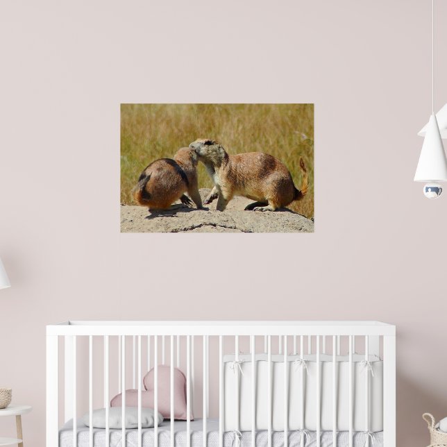 "Black-tailed Prairie Dog Framed Print (Nursery 2)