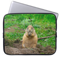 Black-Tailed Prairie Dog