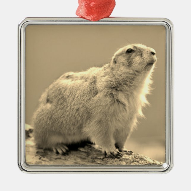 Black-tailed Prairie Dog Metal Tree Decoration (Front)