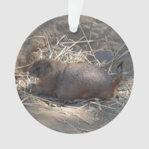 Black-tailed Prairie Dog # Ornament