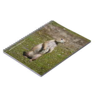 Black-Tailed Prairie Dog Wildlife Photo Spiral Notebook