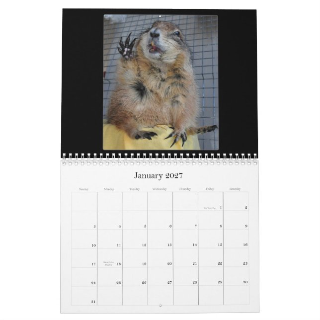 Black Tailed Prairie Dogs - 2013 Calendar (Jan 2027)