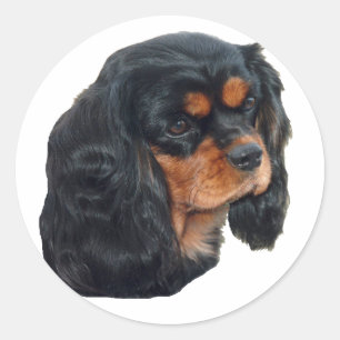 Black & Tan Classic Round Sticker