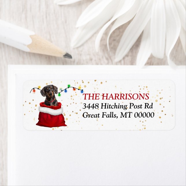 Black Tan Dachshund Dog in Gift Bag Return Address (Insitu)