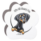Black Tan Dachshund Its All About Me