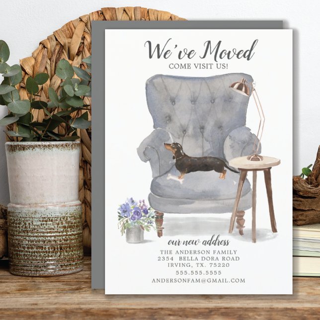 Black & Tan Dachshund | Moving Announcement (Creator Uploaded)