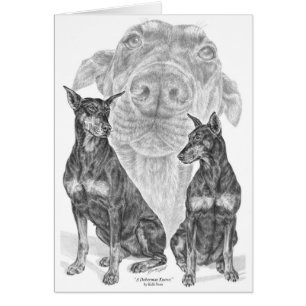 Black/Tan Doberman Pinscher Dog Art by Kelli Swan