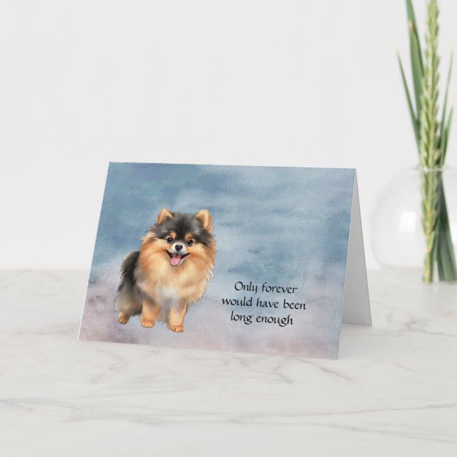 Black Tan Pomeranian Dog Sympathy Card (Front)