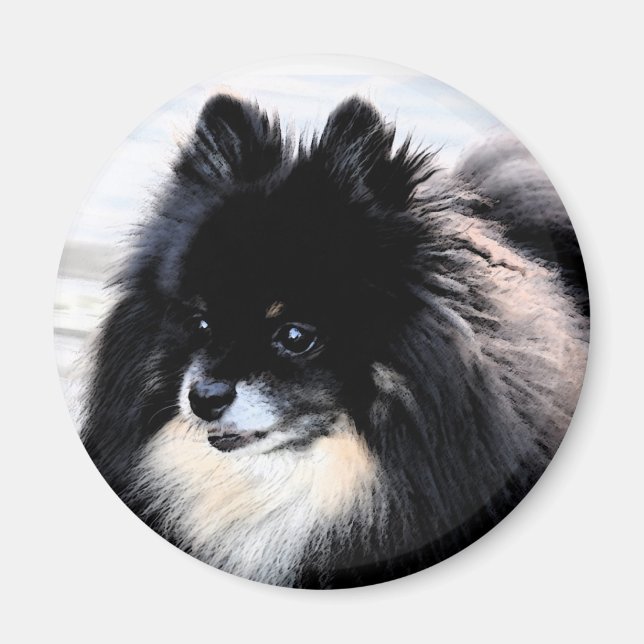 Black & Tan Pomeranian Magnet (Front)