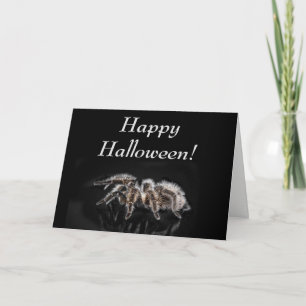 BLACK TARANTULA, HALLOWEEN, BLANK GREETING CARD