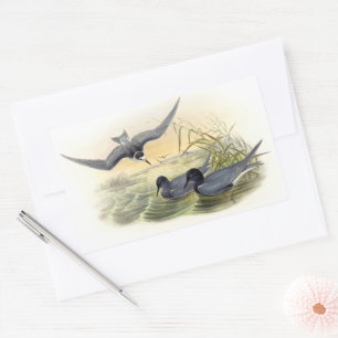Black Tern Rectangular Sticker