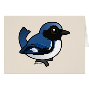 Black-throated Blue Warbler