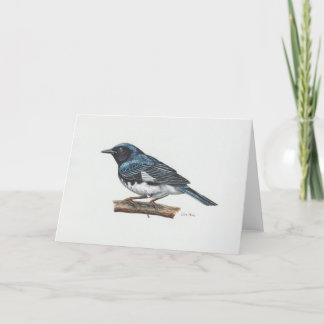 Black-throated Blue Warbler Art Card
