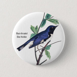 Black-throated Blue Warbler, Audubon, Bird Pin, 6 Cm Round Badge