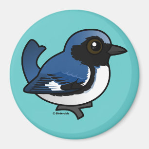 Black-throated Blue Warbler Magnet