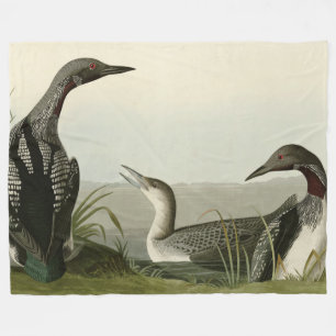 Black-Throated Diver Loon Audubon Birds of America Fleece Blanket
