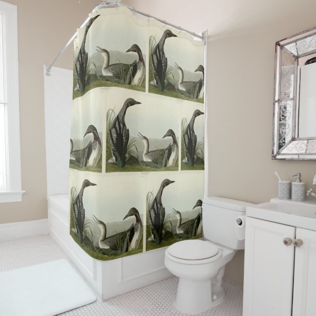 Black-Throated Diver Loon Audubon Birds of America Shower Curtain (In Situ)