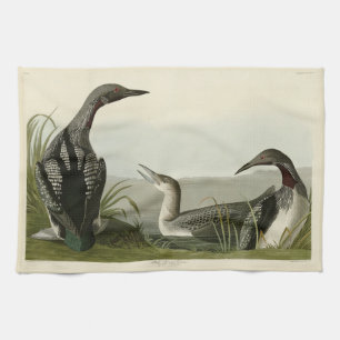 Black-Throated Diver Loon Audubon Birds of America Tea Towel