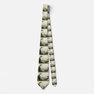 Black-Throated Diver Loon Audubon Birds of America Tie