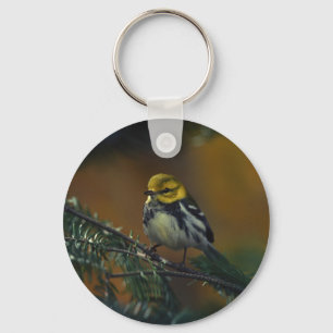 Black throated warbler key ring