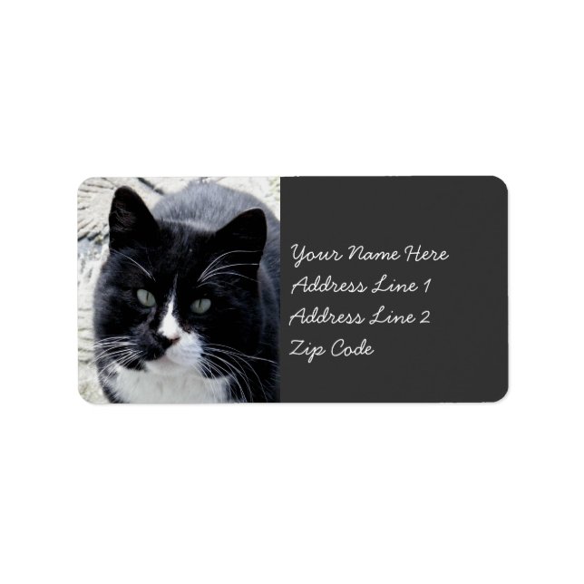 Black Tom Cat with White Markings Label (Front)