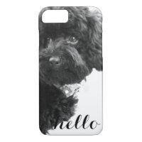 Black Toy Poodle in B&W Photography Personalised