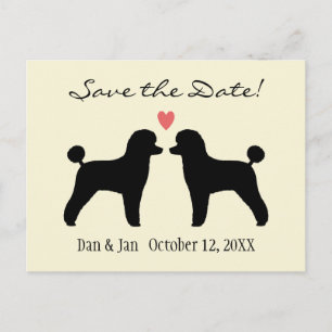 Black Toy Poodles Wedding Save the Date Announcement Postcard