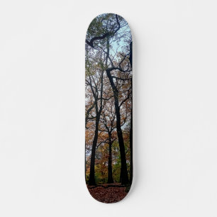 Black trees, in the woods skateboard