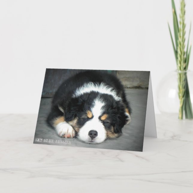 Black Tri Australian Shepherd Greeting Card (Front)