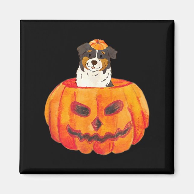 Black Tri Colour Aussie Dog Happy Halloween Pumpki Magnet (Front)