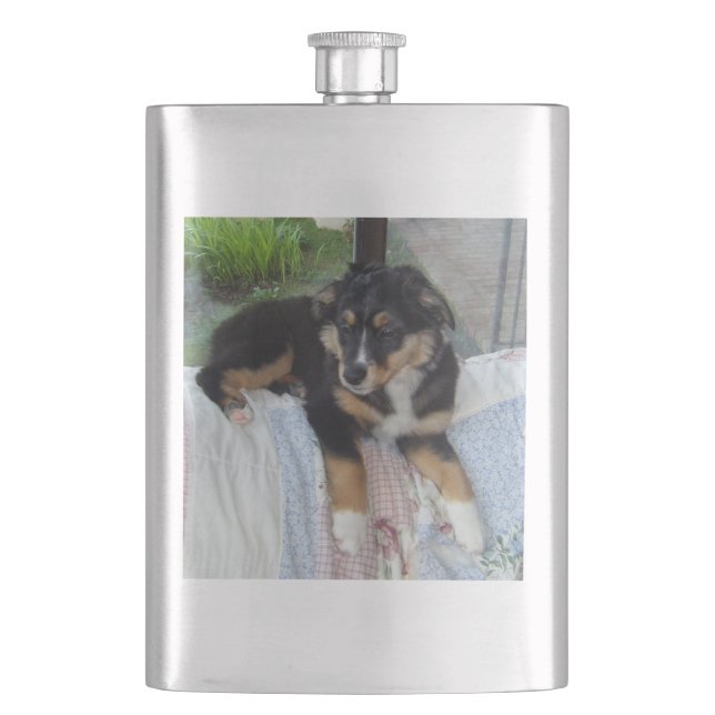 black tri puppy aussie hip flask (Front)