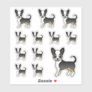 Black Tricolor Smooth Coat Chihuahua Cute Dogs