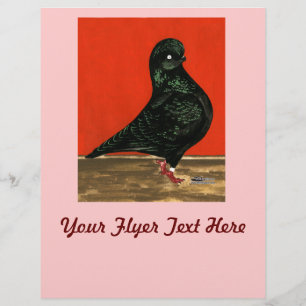 Black Tumbler Pigeon Watercolor Flyer