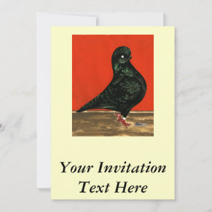 Black Tumbler Pigeon Watercolor Invitation
